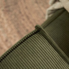 Tweepersoons Slaapbank Ribstof Groen