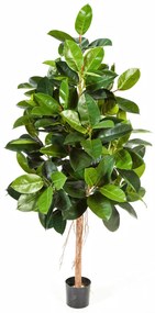 Ficus Elastica kunstplant - 210 cm
