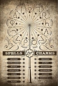 Poster Harry Potter - Spreuken en toverformules, (61 x 91.5 cm)