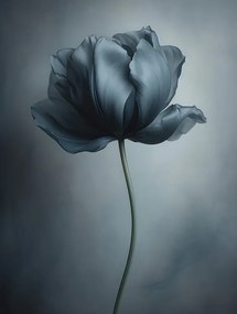 Foto Black Flower 1, Bilge Paksoylu