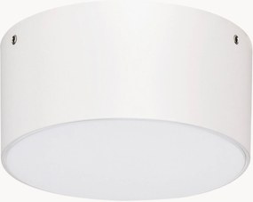 Outdoor LED plafondlamp Judi