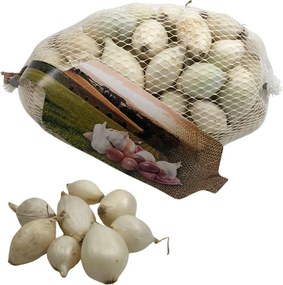 Buzzy plantajuin Snowball 14/21 - witte ui - netje 250 gr