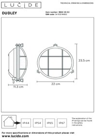 Lucide Dudley wandlamp 40W 23x22cm goud/messing