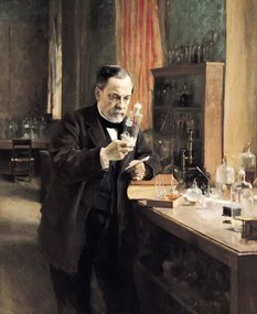 Foto Louis Pasteur in his Laboratory, 1885, Edelfelt, Albert Gustaf Aristides, (35 x 40 cm)
