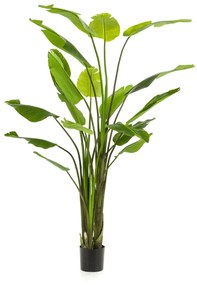 Strelitzia Nicolai Kunstplant - 235 cm