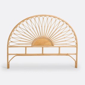 Rotan hoofdbord, TIO