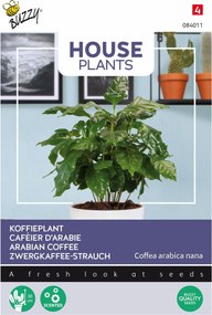 Buzzy seeds Kamerplant - Koffieplant zaden - Coffea Arabica