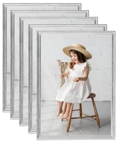 vidaXL Fotolijsten 5 st voor wand of tafel 29,7x42 cm zilverkleurig