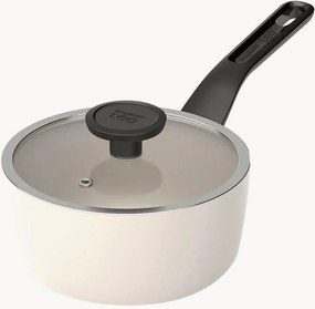 Steelpan Leo met deksel