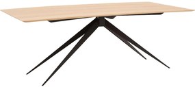 Goossens Excellent Eettafel Uniek, Rechthoekig 200 x 100 cm