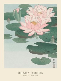 Kunstdruk Water Lily (Special Edition) - Ohara Koson, (30 x 40 cm)