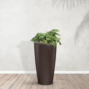 Combideal - Monstera Monkey Leaf inclusief zelfwaterende pot Angel Espresso M - 90cm