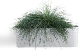 Bloempot/ plantenbak om aan de muur te hangen, in metaal, Anaïa
