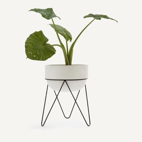 Bloempot H54 cm, Plantae