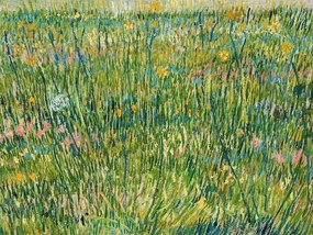 Kunstreproductie A Patch of Grass - Vincent van Gogh, (40 x 30 cm)