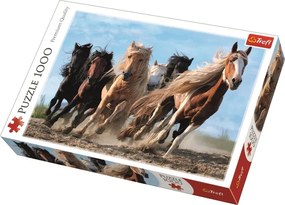Puzzel Galloping Horses