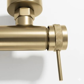 Badmengkraan Rea Lungo Grip Brush Gold