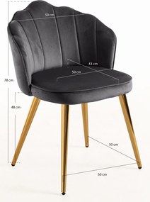 Blume Goud Fluwelen Stoel