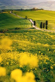 Kunstfotografie Tuscany, springtime in the afternoon. Path,, Francesco Riccardo Iacomino, (26.7 x 40 cm)