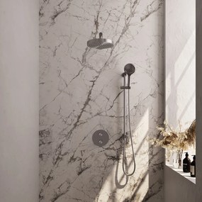 Brauer Stripe inbouw regendouche rond met 25cm hoofddouche, rond met rechte muurarm, glijstang en 3 standen handdouche set 46 RVS geborsteld PVD