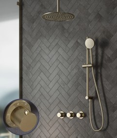 Saniclear Plus Stripes inbouw regendouche met 20cm hoofddouche, plafondarm en glijstang geborsteld messing - mat goud