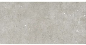 STN Ceramica Glamstone wand- en vloertegel - 59.5x120cm - 10mm - gerectificeerd - grijs SW07314029-2