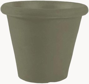 Plantenpot Camelia