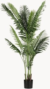 Outdoor kunstplant Kenzia, H 160 cm