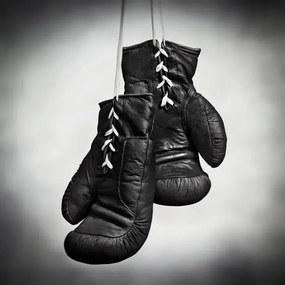Foto Laced boxing gloves, SEAN GLADWELL