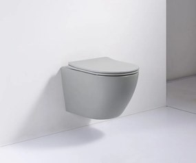 SaniGoods Apollo mat lichtgrijze toiletpot inclusief zitting anti-kalk 48cm