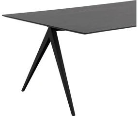 Goossens Excellent Eettafel Ferris, Rechthoekig 200 x 100 cm