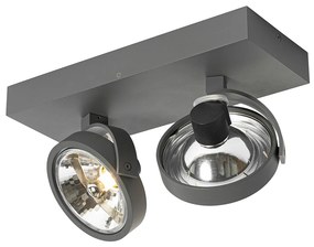 Design spot grijs verstelbaar 2-lichts - Go