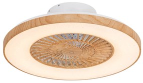 Plafondventilator met lamp hout incl. LED met afstandsbediening - Climo Landelijk rond Binnenverlichting Lamp