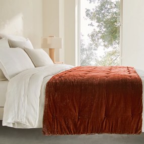 Fluwelen dekbed, Vezina