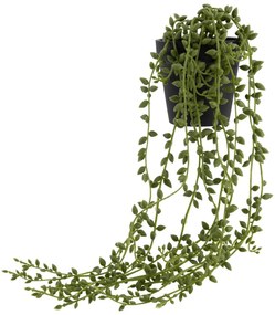 HEMA Kunstplant Erwtenplant (groen)