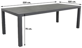 President tuintafel 220 x 100 cm.