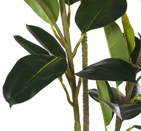 Kunstplant FICUS ELASTICA Beliani