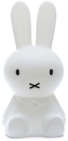 Mr Maria Nijntje tafellamp groot