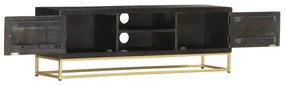 vidaXL Tv-meubel 120x30x40 cm massief mangohout zwart en goudkleurig