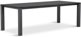 Dining Tuintafel rechthoekig 220 x 100 cm met Pearl Black blad Aluminium Grijs Munster