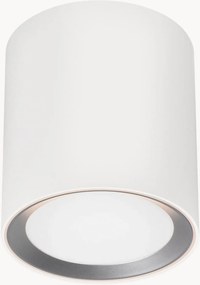 Dimbare LED plafondspot Landon