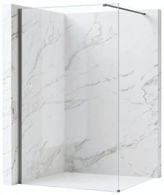 Walk-in douchewand Rea Flexi Transparent / Titan 90