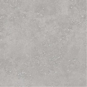 STN Ceramica wand- en vloertegel - 59.5x59.5cm - 9.5mm - gerectificeerd - Natuursteen look - Grey OUTLETSTORE SW07314020-1