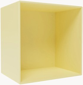 Module Mini 1001
