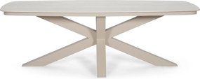 Tuinset 6 personen 220 cm Kunststof Zand/Beige Domani Furniture Alba/Belluno