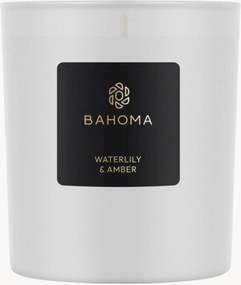 Geurkaars Waterlily & Amber (bergamot, watere groene noten, verse peer)