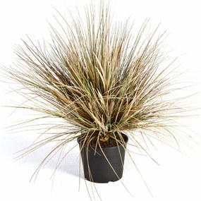 Kunstgras Onion Herfst - 65 cm