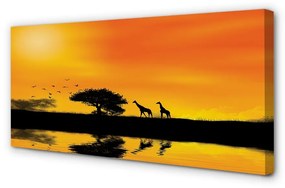 Schilderijen op canvas doek Girafe west tree lake 100x50 cm