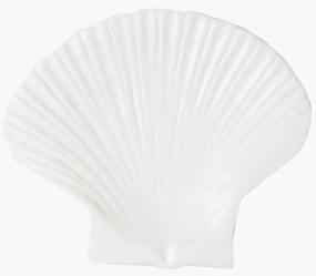 Dessertbord Shell van dolomiet