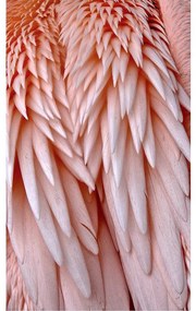 Goossens Schilderij Pink Feather, 70 x 118 cm